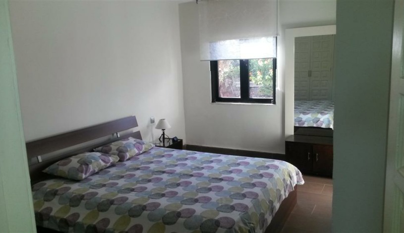 Apartment Calle los Pinos Canary Islands - Apt 36698